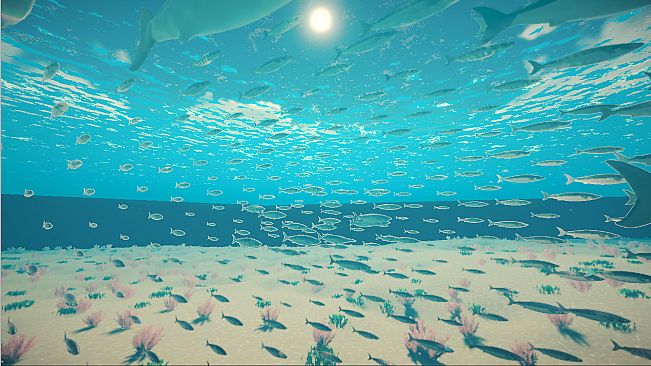 My Little Ocean