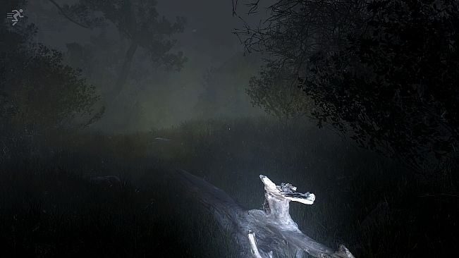 The Disappearance of Emily Crowe