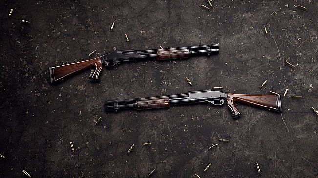Insurgency: Sandstorm - Woodwork Weapon Skin Set