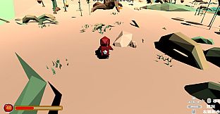 Mirror world