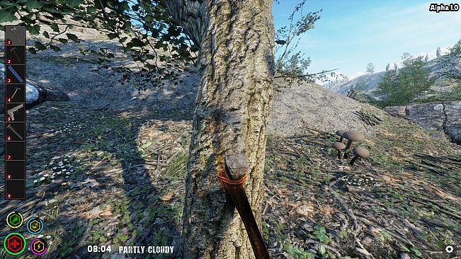 Your Journey of Survival