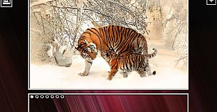 Super Jigsaw Puzzle: Generations - Big Cats Puzzles