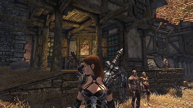 Divinity II: Developer's Cut