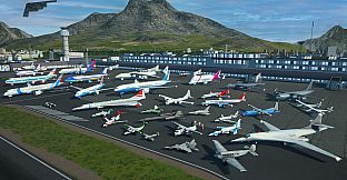 Airplane Flight Simulator: EVO