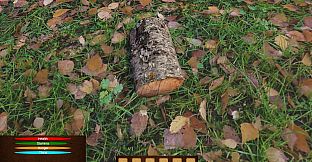 Robinsons Simulations World