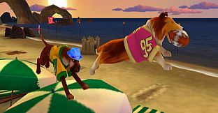 Jerry Rice & Nitus' Dog Football