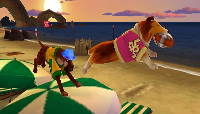 Jerry Rice & Nitus' Dog Football