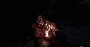 Wraith Rage: A Shadow's Choice