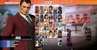 DOA6 Happy Wedding Costume Vol.2 - Rig