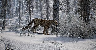 PROJECT HUNT - MANCHURIAN TAIGA
