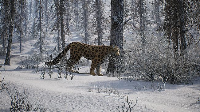 PROJECT HUNT - MANCHURIAN TAIGA