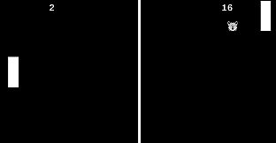 Endless Furry Ping-Pong