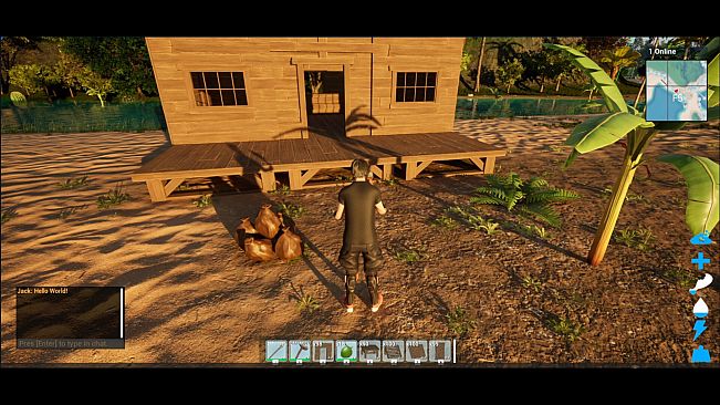 Surviving The Island