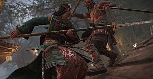 Lady Saori – Nobushi Hero Skin – FOR HONOR