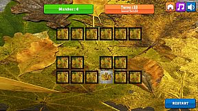 OG Memory:  Fall 2K23