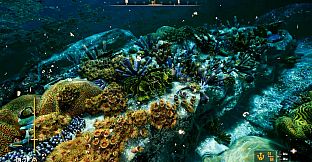 Deep Diving Adventures 2