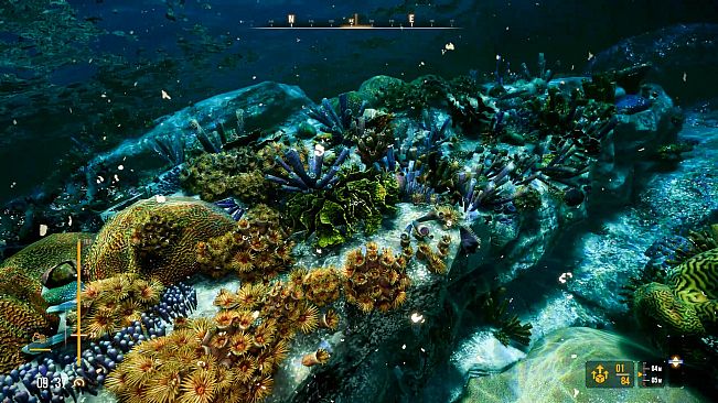 Deep Diving Adventures 2