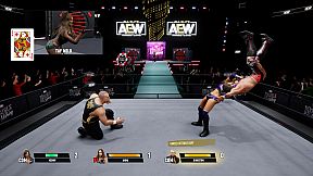 AEW: Fight Forever