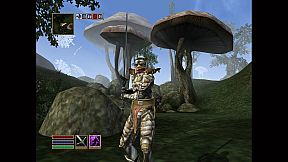 The Elder Scrolls III: Morrowind