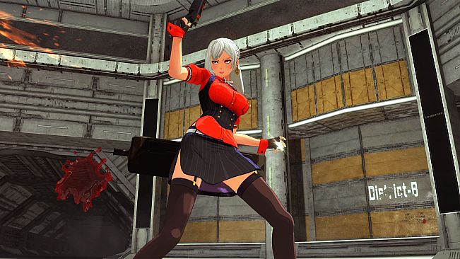 OneeChanbara ORIGIN - Exclusive Lei Costume: Lei's Work Uniform Pirate Red