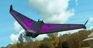 RealFlight Evolution – HardVector
