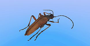 Retropy VR: Amazing Insects #1