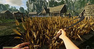 Viking Frontiers