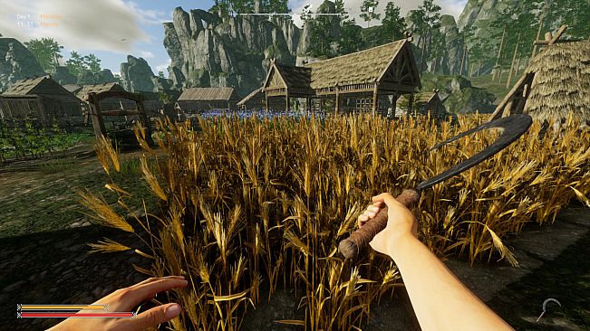 Viking Frontiers