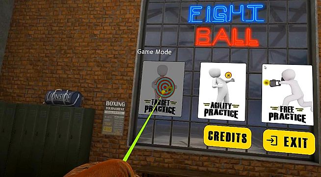 FIGHT BALL - BOXING VR