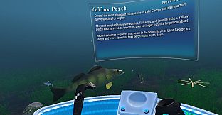 The Aquatic Messenger