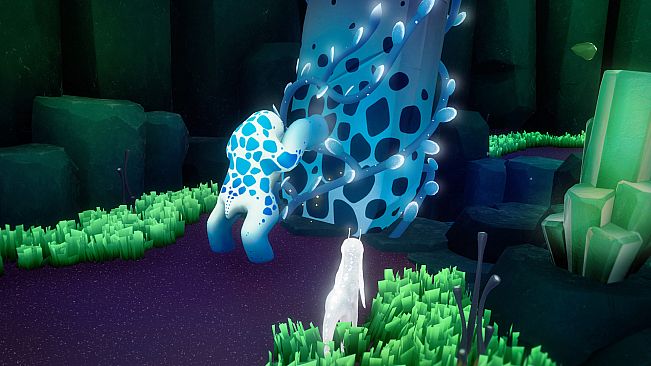 Sayri: The Beginning