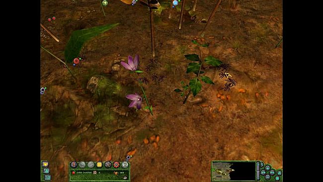 Empire of the Ants (2000)