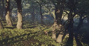 theHunter: Call of the Wild - Parque Fernando