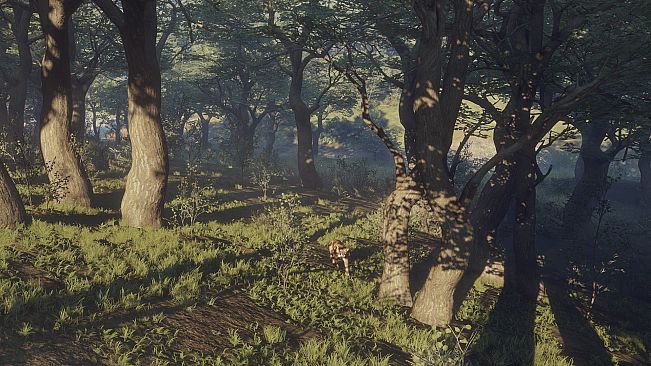 theHunter: Call of the Wild - Parque Fernando