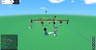 just volleyball