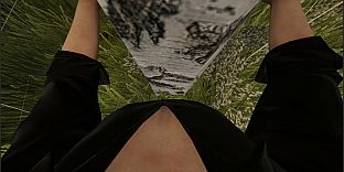 Tree Hugging Simulator