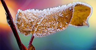 Master of Pieces Jigsaw Puzzle Winter Tale DLC