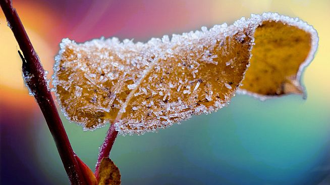 Master of Pieces Jigsaw Puzzle Winter Tale DLC