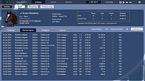 Golden Stables - Horse Racing