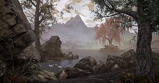 The Dead Tree of Ranchiuna