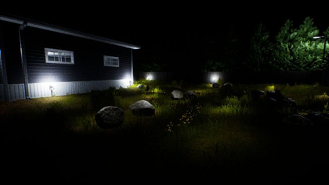 Something Strange Tonight - The Lurker
