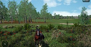 Horse Spirit Valley 2
