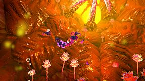 Into the Belly of the Beast