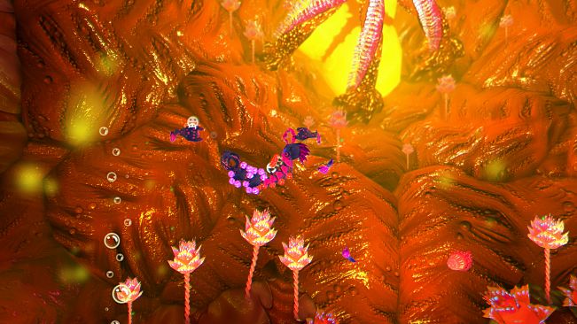 Into the Belly of the Beast