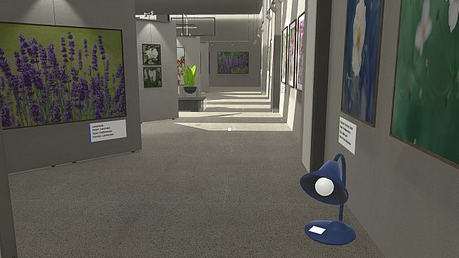 Plant Gallery: A Short Botanic Experience