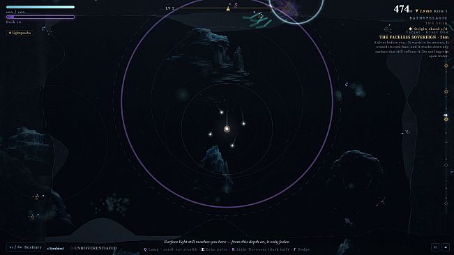 Echo in the Lightless Deep