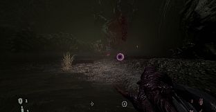 The Void