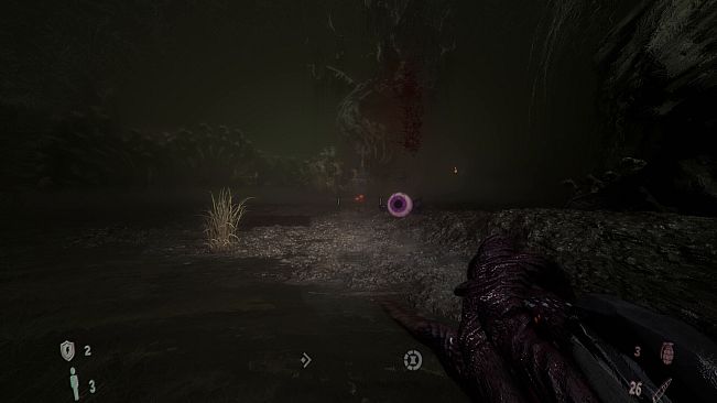 The Void