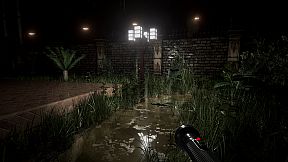 Pulang Insanity - Director's Cut