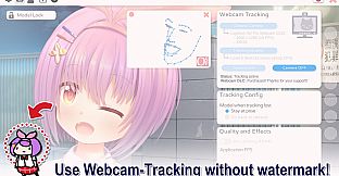 VTube Studio - Remove Watermark